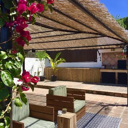 Pinos Malaga Alhaurin de la Torre