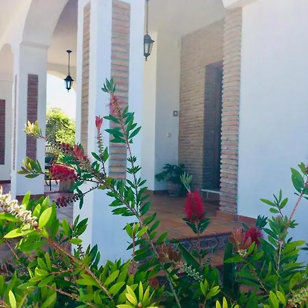 Pinos Malaga *